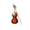 Mitello CV-44M 4/4 Junge Violine
